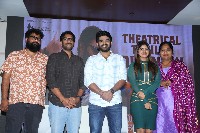 Nenu Meeku Baga Kavalsina Vadini Movie Trailer Launch